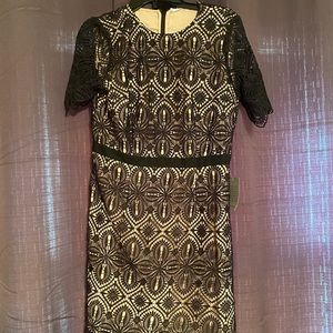 Black lace dress with nude slip. Brand new.